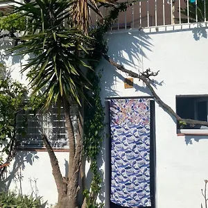  Appartement Estudio Boho-chic Nuevo Bien Ubicado